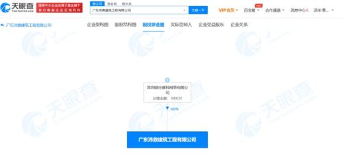 信息技术咨询服务 驱动企业数字化转型的核心引擎