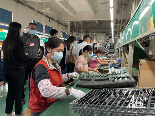 家门口学技能 就好业——中山持续派发就业服务大礼包，信息技术咨询服务成亮点